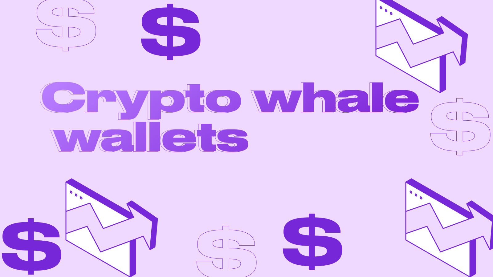 Crypto whale wallets: where are the millions stored?