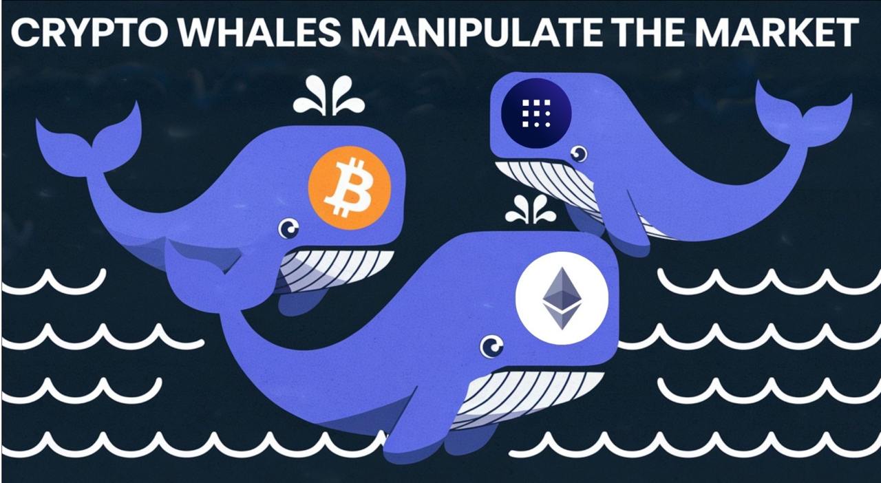 Crypto Whales Manipulate the Market