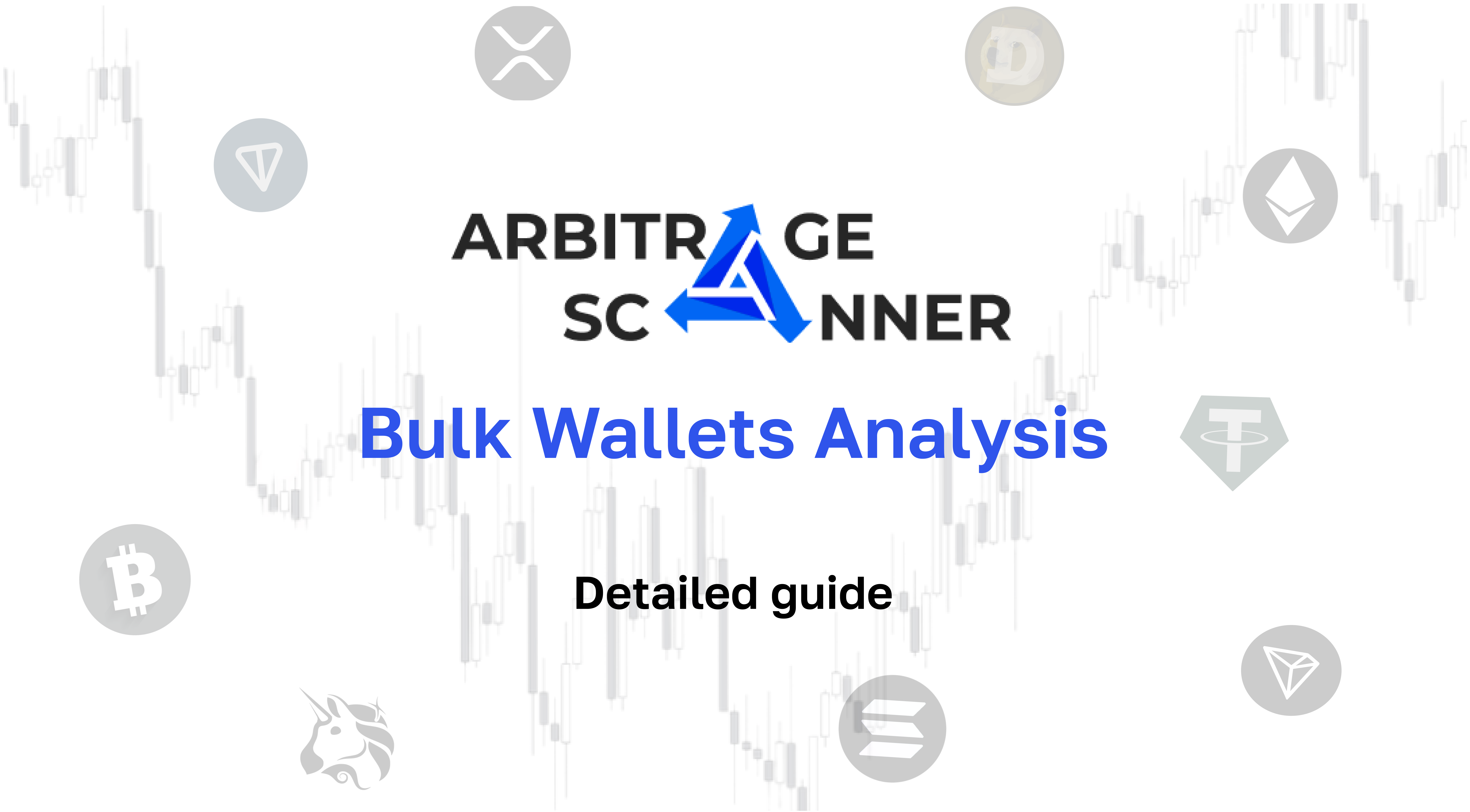 Detailed guide: How to get started with Bulk Wallets Analysis