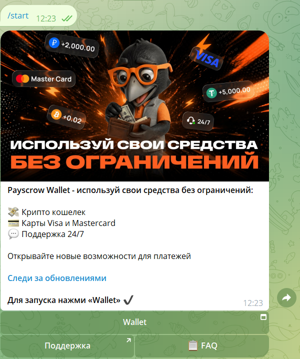 Обзор Payscrow: виртуальные Visa-карты с привязкой к Apple Pay и пополнением через СБП