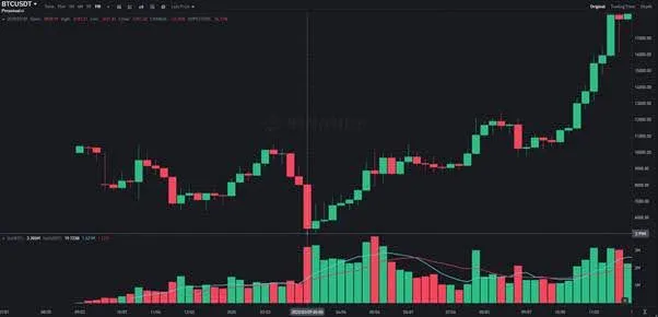 Cisne Negro do Bitcoin: Como a Pandemia da COVID-19 Impactou o Mercado e Impulsionou a Recuperação do Bitcoin