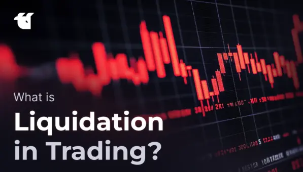 Understanding Cryptocurrency Liquidation and Risk Management