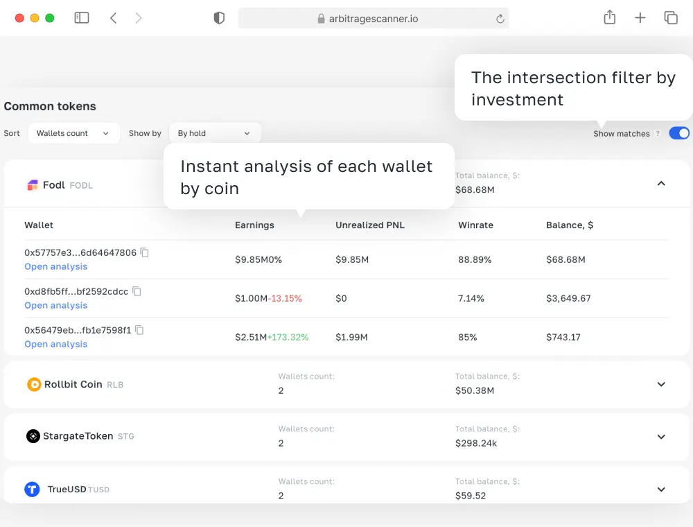 Bulk Wallet Analysis Image